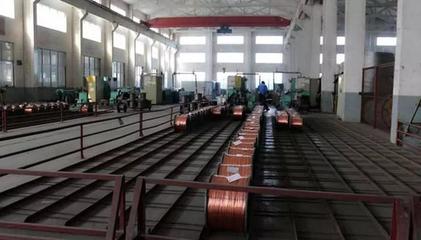 宜興4家企業榮登全球電線電纜生產商百強榜單，彰顯區域產業實力