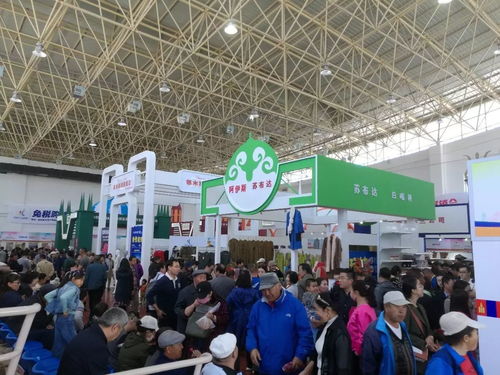 第十三屆中俄蒙經(jīng)貿(mào)洽談暨商品展銷(xiāo)會(huì)圓滿落幕，俄蒙展廳現(xiàn)場(chǎng)火爆彰顯區(qū)域合作新活力