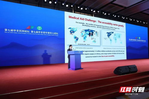 中國企業(yè)與非洲大陸這樣牽手——中非經貿合作與企業(yè)社會責任平行論壇側記